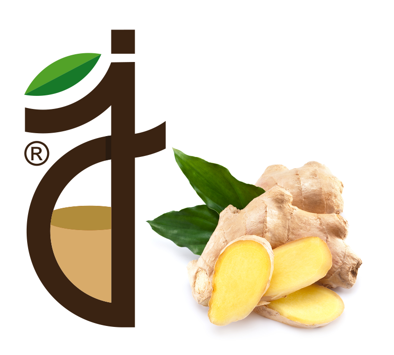 Ginger Puree Suppliers and Distributors Juice Concentrate